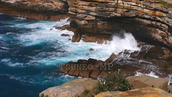 映像実写 オーストラリア海120508-006