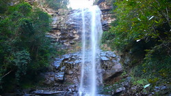 映像実写 オーストラリア滝120508-002