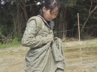 Sailor uniform / muddy 17