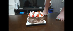 Crushed homemade birthday cake