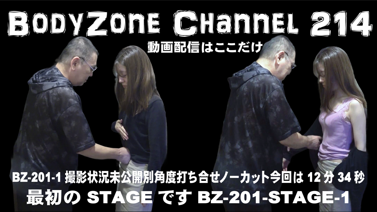 bodyzone BZ-201-STAGE1 shooting situation