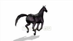 映像CG 馬 Horse120324-011