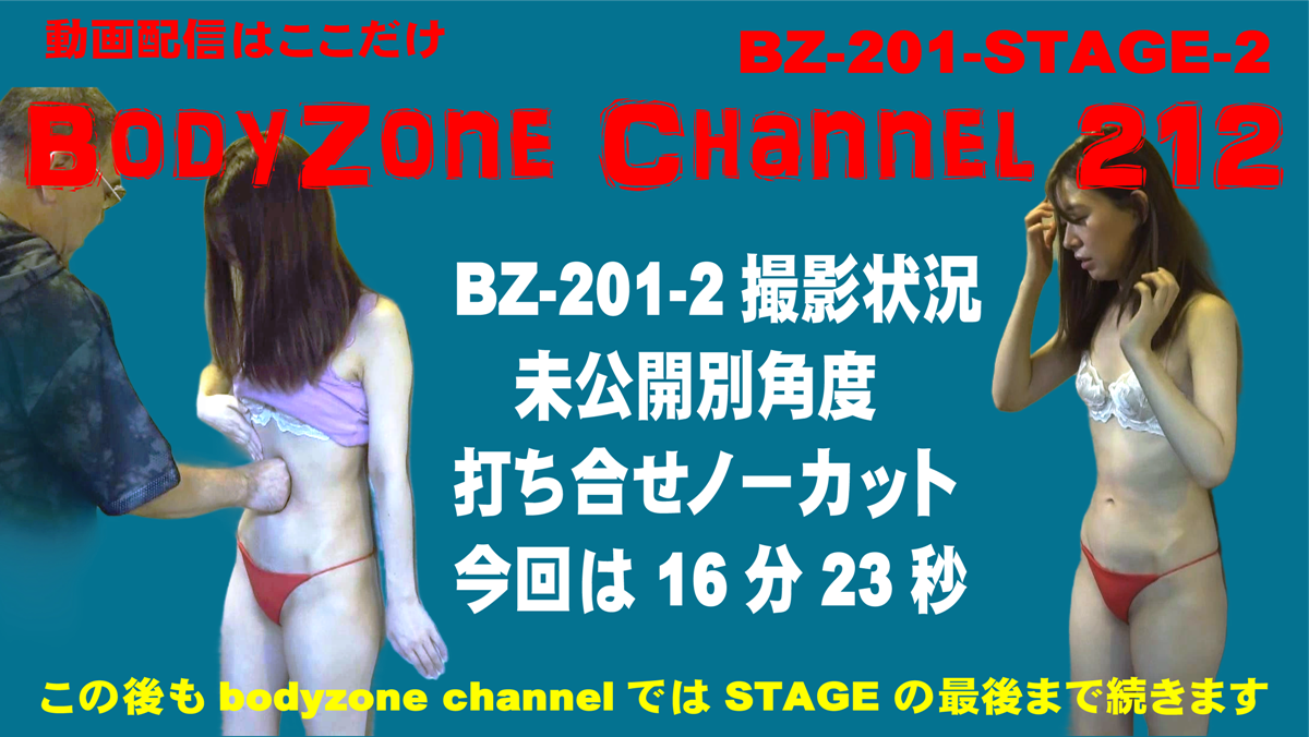 bodyzone BZ-201-STAGE2撮影状況